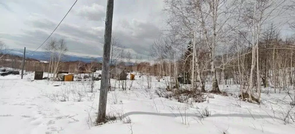 Участок в Камчатский край, Елизовский муниципальный округ, Рябинушка ... - Фото 2