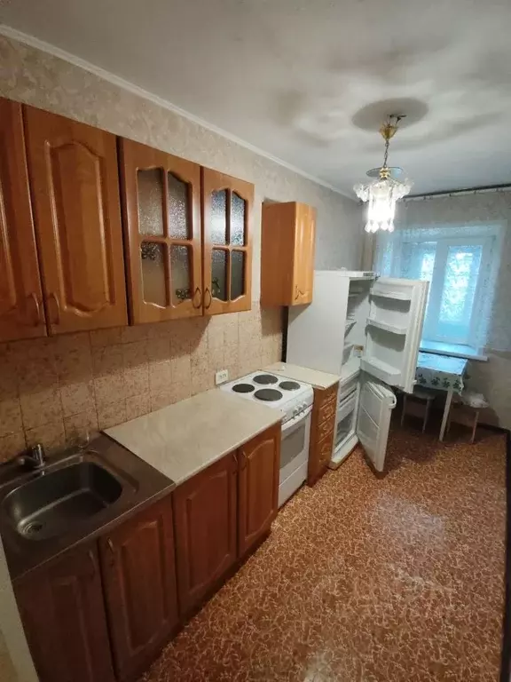 1-к кв. Алтайский край, Барнаул ул. Мамонтова, 309 (28.0 м) - Фото 2