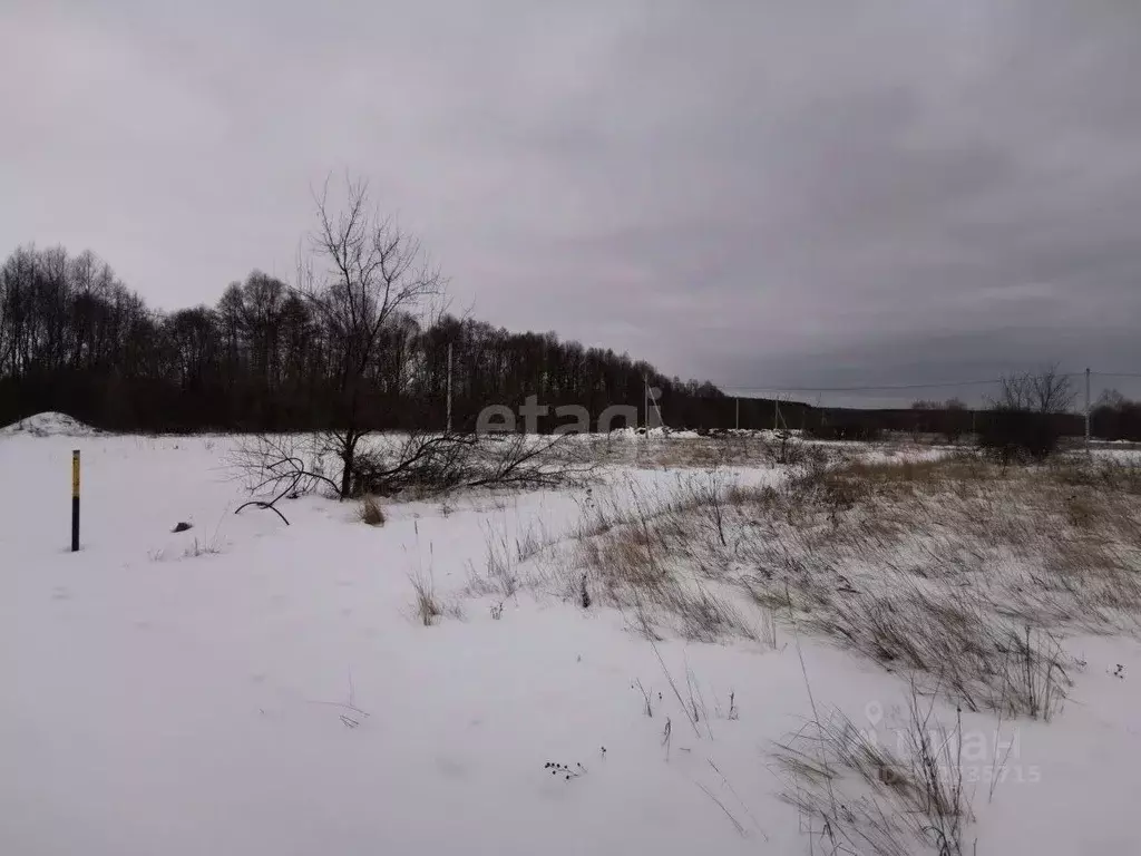 Участок в Ульяновская область, Ульяновск городской округ, с. Луговое ... - Фото 1