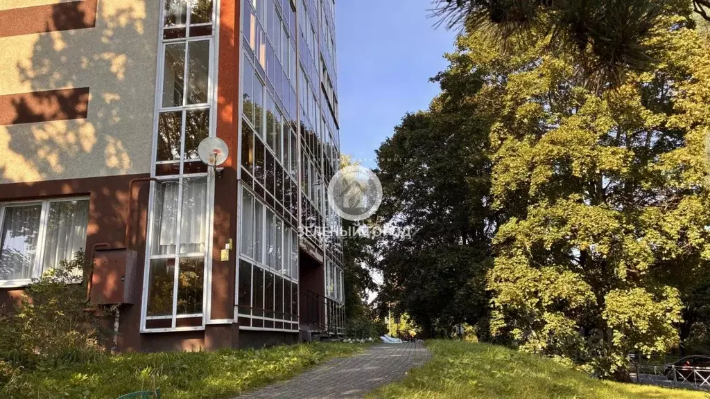 Студия Калининградская область, Светлогорск Пригородная ул., 1к2 (30.0 ... - Фото 1