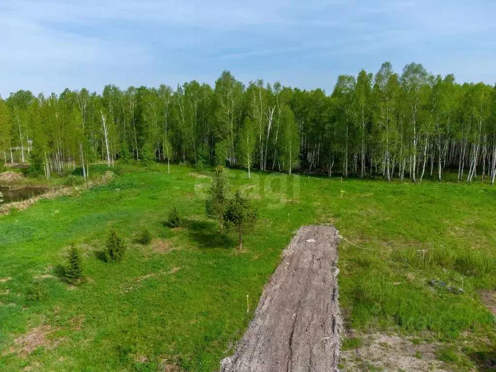 Участок в Тюменская область, Нижнетавдинский район, Сундукуль СНТ ул. ... - Фото 1