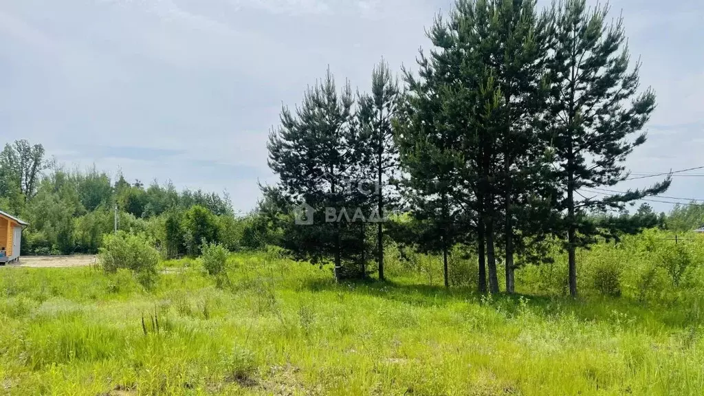 Участок в Московская область, Лосино-Петровский городской округ, д. ... - Фото 0