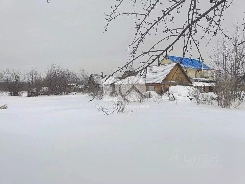 Участок в Новосибирская область, Новосибирск Лилия СНТ, ул. ... - Фото 1