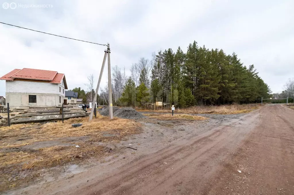 Участок в Курганская область, Кетовский муниципальный округ, СНТ ... - Фото 2
