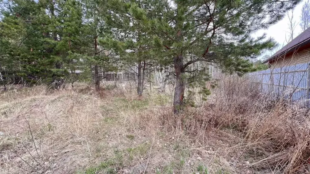 Участок 11,7 сот. (ИЖС) - Фото 0