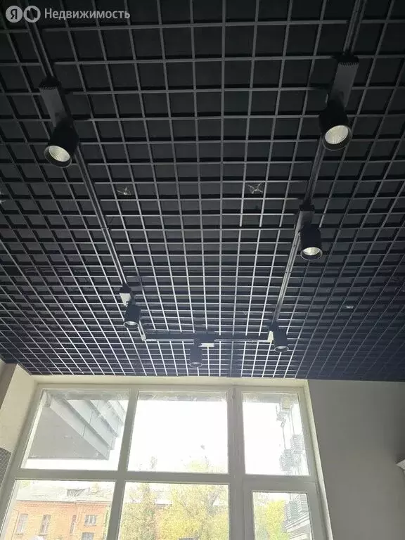 Помещение свободного назначения (29.9 м) - Фото 2