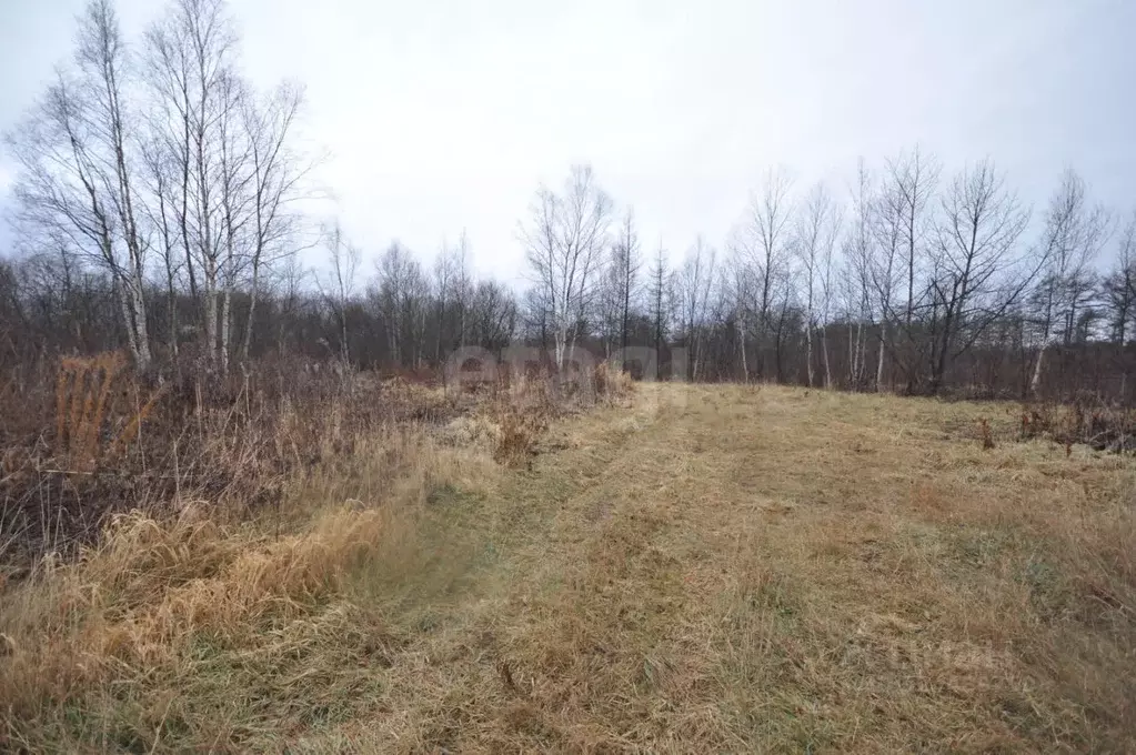 Участок в Сахалинская область, Южно-Сахалинск ул. 2-я Хабаровская ... - Фото 1
