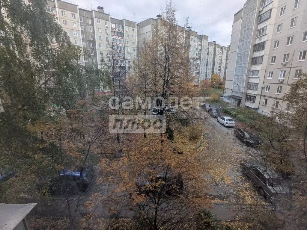 1-к кв. Липецкая область, Липецк ул. Катукова, 37 (35.6 м) - Фото 1