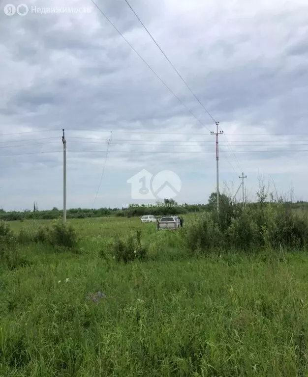 Участок в Колыванский район, СНТ Пять озёр (12 м) - Фото 2