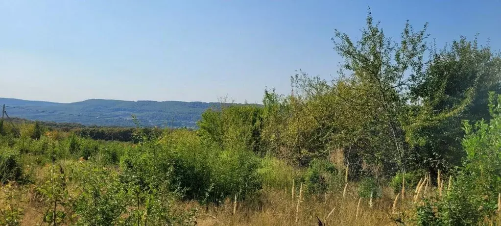 Участок в Краснодарский край, Северский район, Азовское с/пос, ... - Фото 2