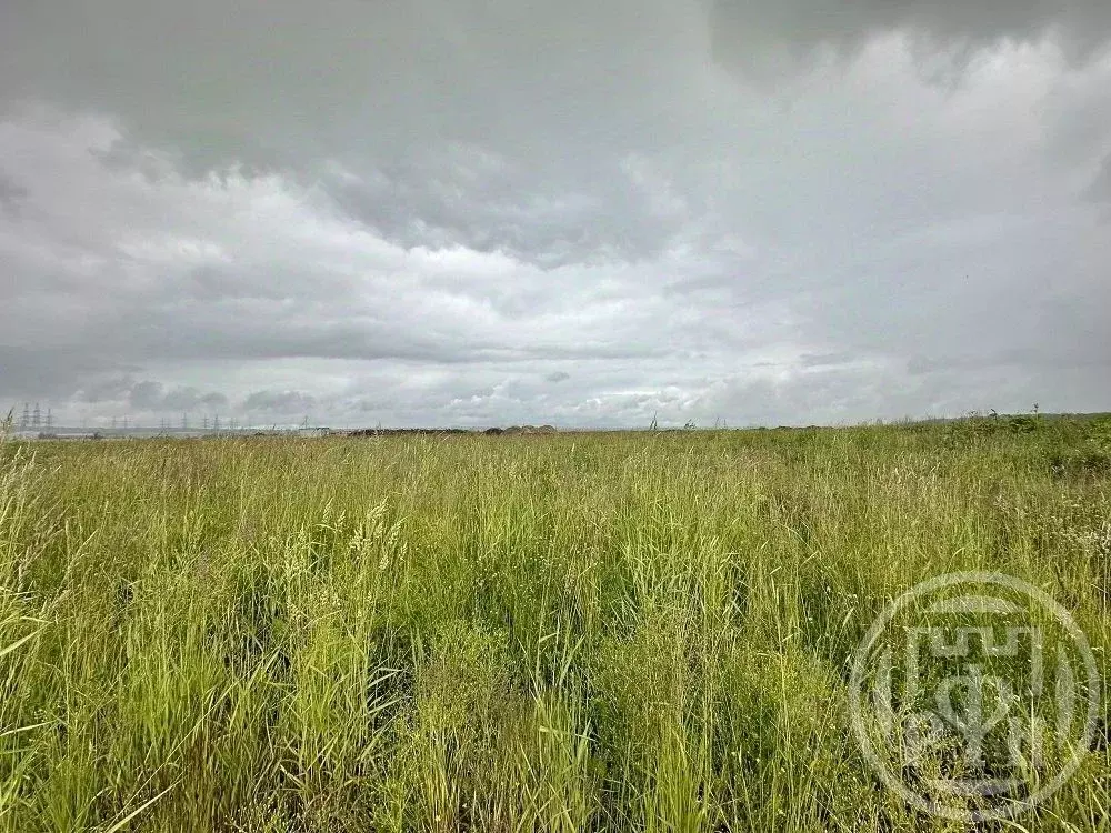 Участок в Ленинградская область, Всеволожский район, Заневское ... - Фото 1