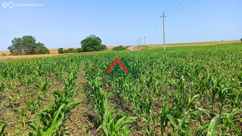 Участок в Краснодарский край, Северское сельское поселение (480 м) - Фото 1