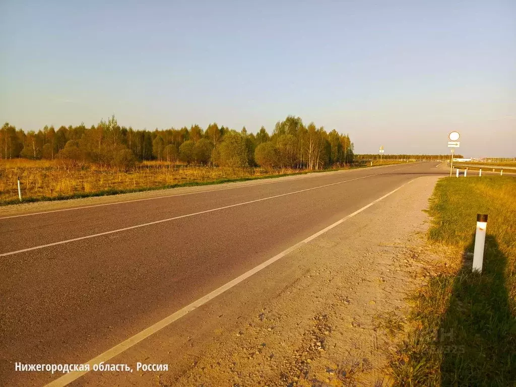 Участок в Нижегородская область, Арзамас городской округ, с. Костылиха ... - Фото 1