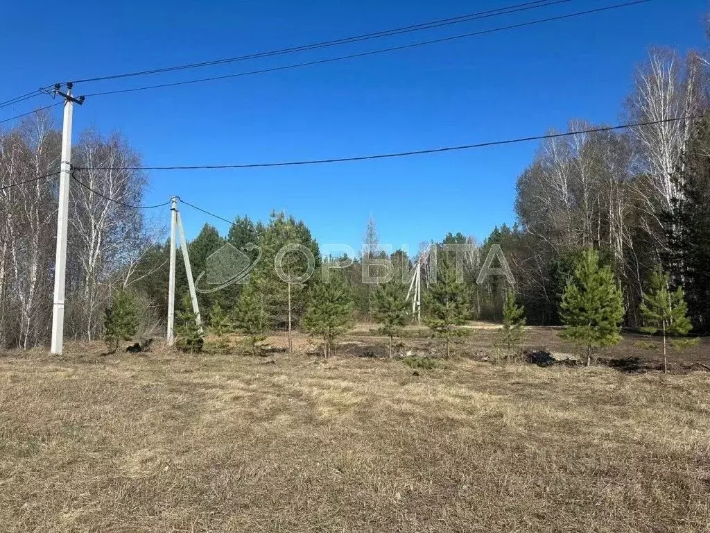 Участок в Тюменская область, Тюменский район, д. Головина  (15.0 сот.) - Фото 2