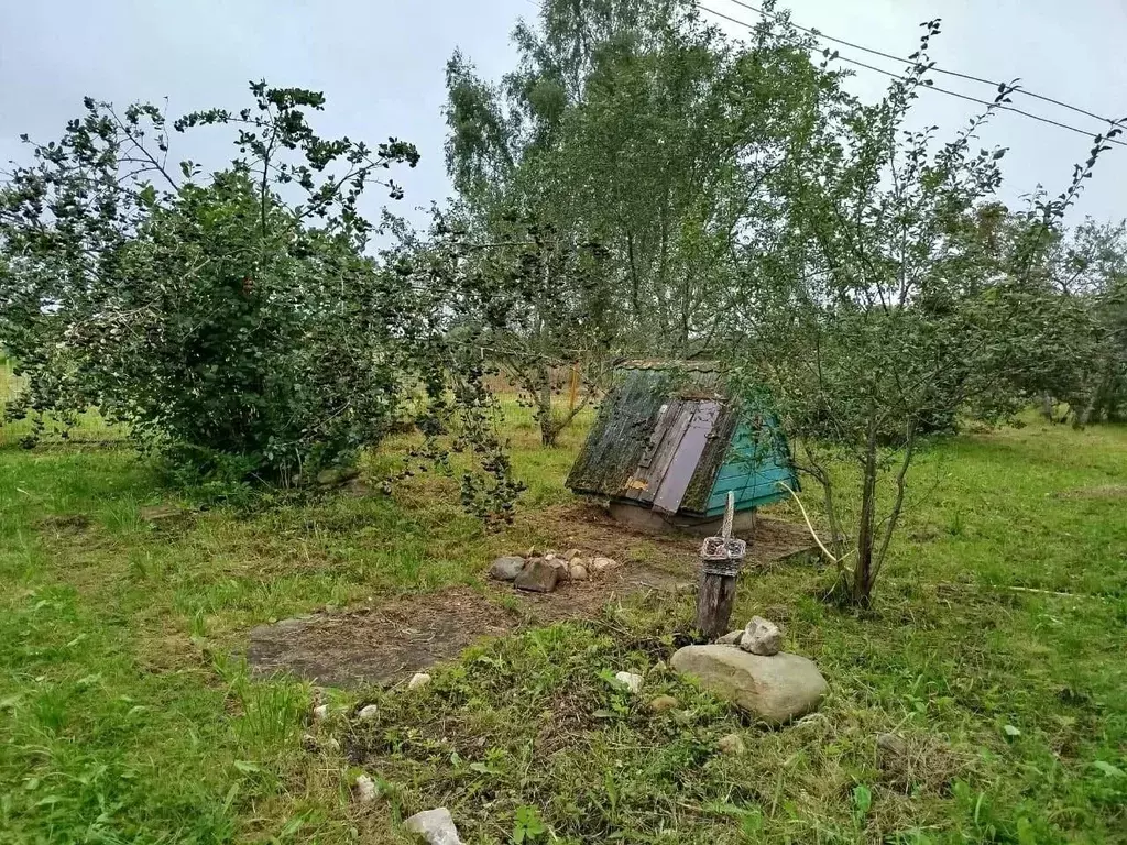 Дом в Смоленская область, Темкинский муниципальный округ, д. Горки ул. ... - Фото 2