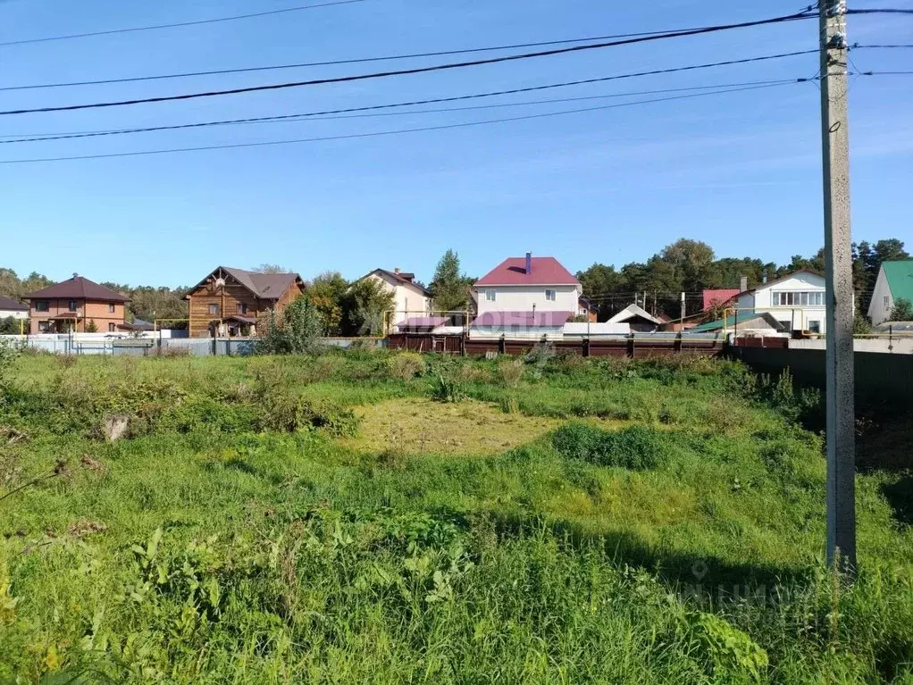 Участок в Новосибирская область, Новосибирский район, Кудряшовский ... - Фото 1