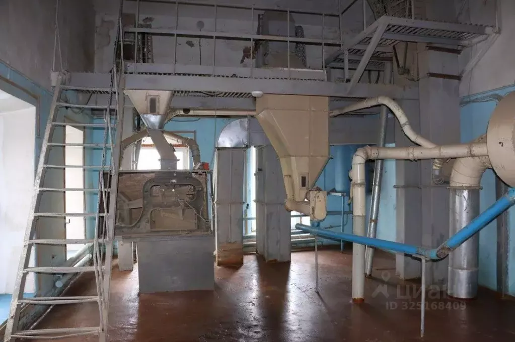 Производственное помещение в Саратовская область, Екатериновка рп ул. ... - Фото 2