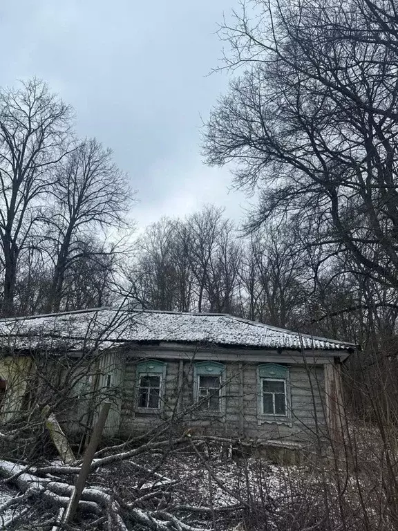 Дом в Московская область, Зарайск муниципальный округ, д. Чернево ул. ... - Фото 0