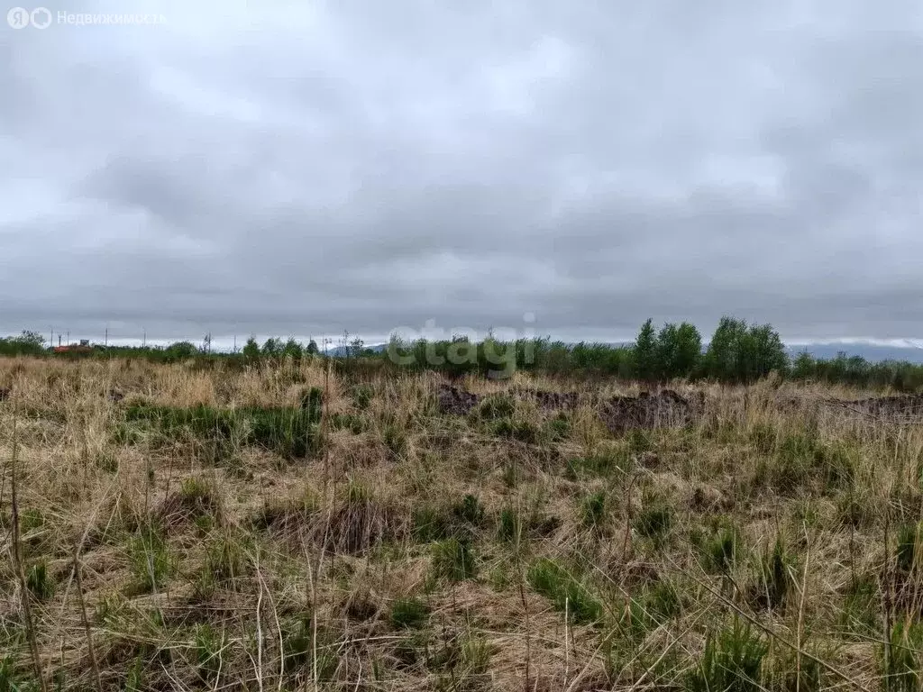 Участок в Елизово, А-401, 28-й километр (99.9 м) - Фото 0