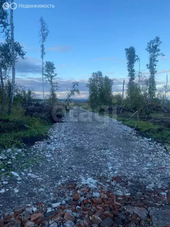 Участок в Кемеровский муниципальный округ, село Берёзово (15 м) - Фото 0