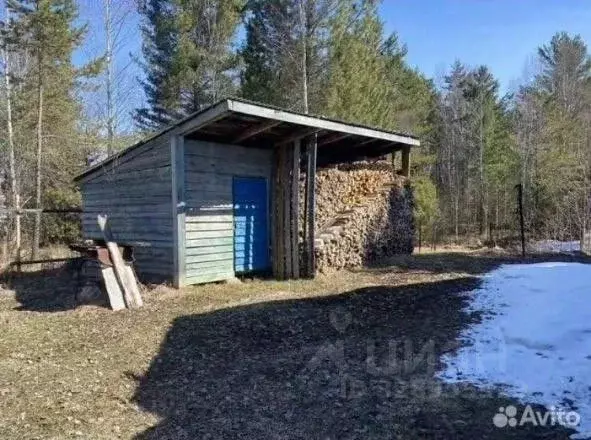 Участок в Иркутская область, Слюдянский район, Новоснежнинское ... - Фото 1