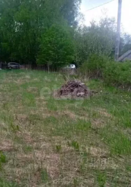 Участок в Вологодская область, д. Корюкино  (8.0 сот.) - Фото 2