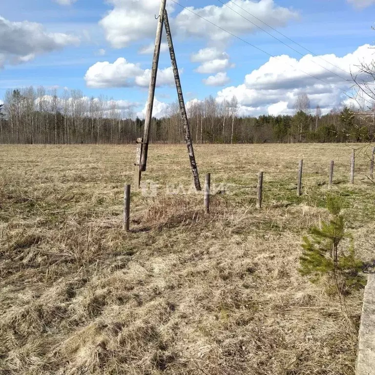 Участок в Карелия, Пудожское городское поселение, д. Кошуково  (15.0 ... - Фото 1