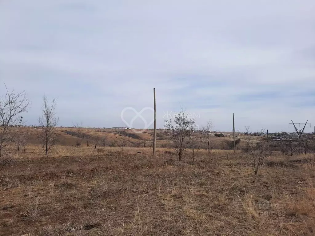Участок в Волгоградская область, Городищенский район, Царицынское ... - Фото 1