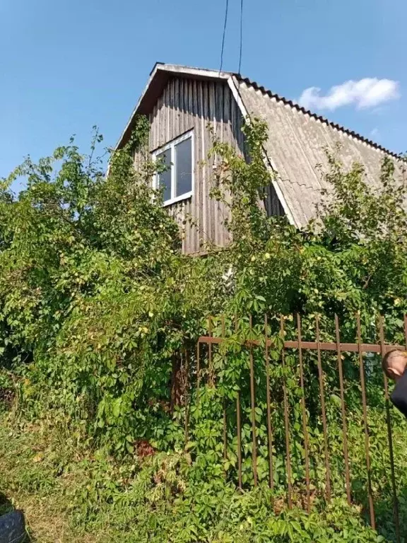 Дом в Брянская область, Брянск  (26 м) - Фото 1