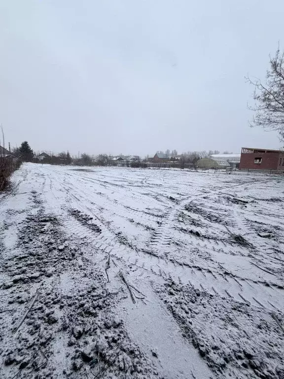 Участок в Самарская область, Ставропольский район, Тимофеевка с/пос, ... - Фото 2