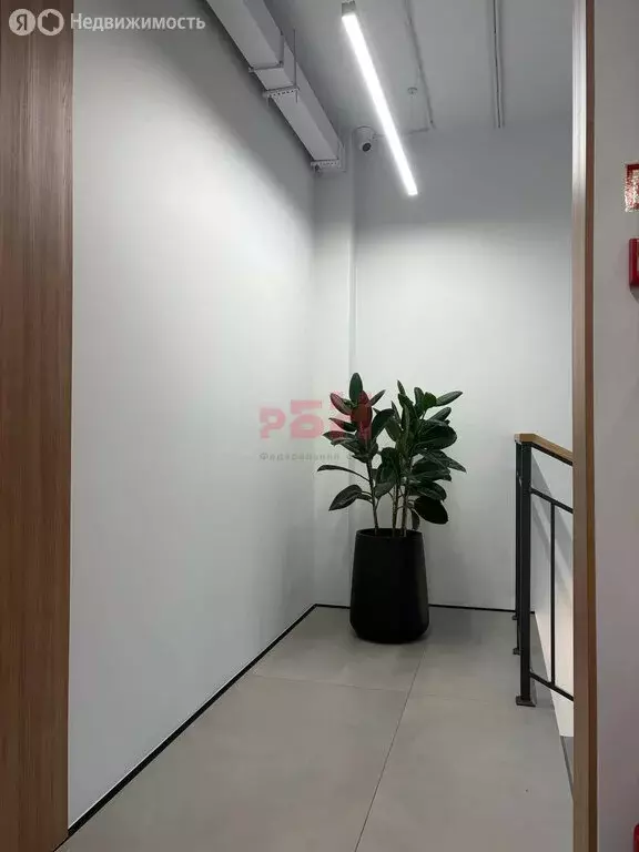 Помещение свободного назначения (240 м) - Фото 2
