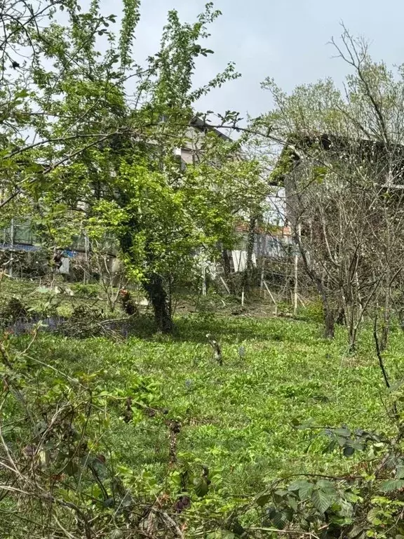 Участок в Краснодарский край, Сочи городской округ, с. Волковка ул. ... - Фото 0