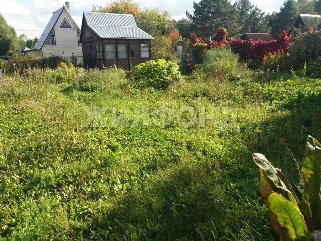 Участок в Мошковский район, садоводческое некоммерческое товарищество ... - Фото 1