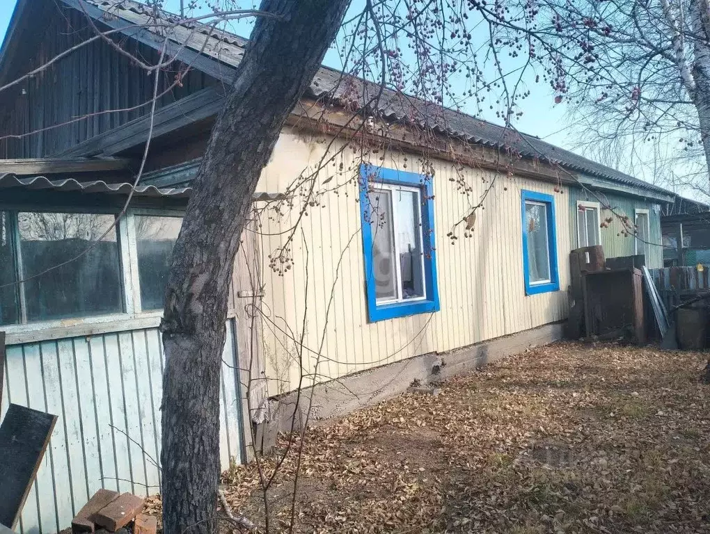 Дом в Амурская область, Белогорский муниципальный округ, с. Никольское ... - Фото 0