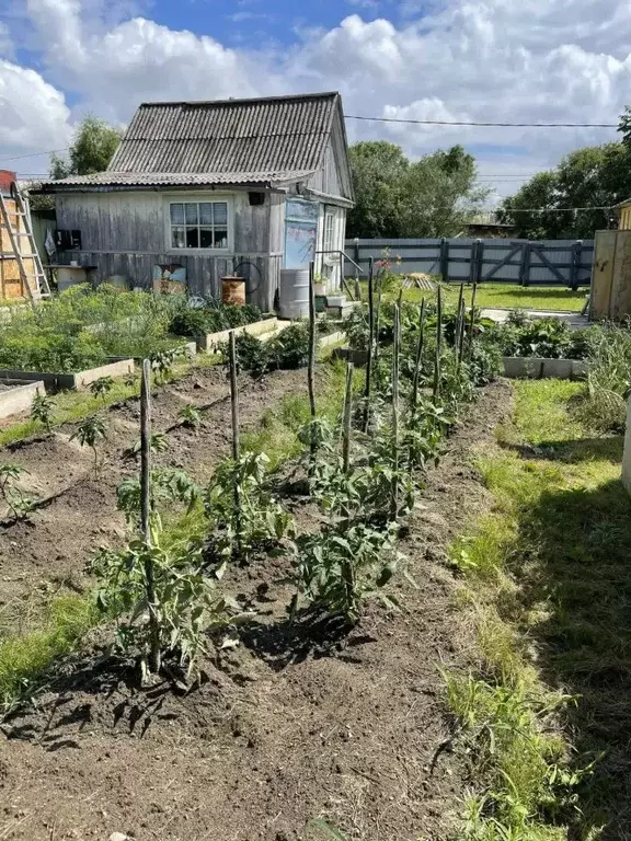 Дом в Еврейская автономная область, Смидовичский район, Владимировское ... - Фото 1