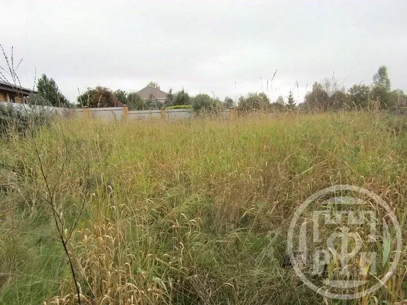 Участок в Ленинградская область, Всеволожский район, Романовское ... - Фото 1