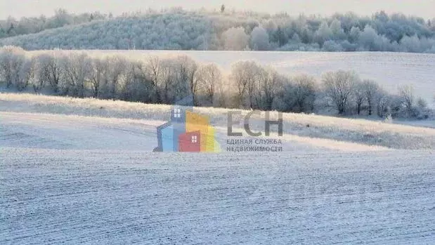 Участок в Тульская область, Новогуровский рп  (279.0 сот.) - Фото 1