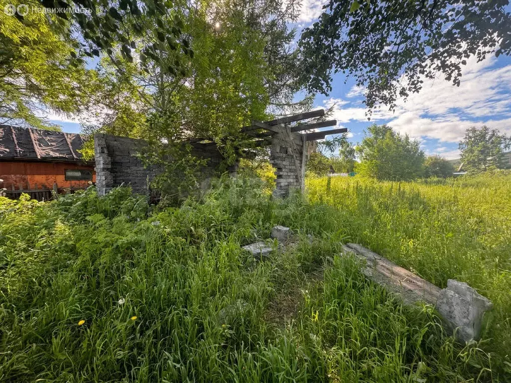 Участок в Камчатский край, Елизовский муниципальный округ, садовое ... - Фото 2