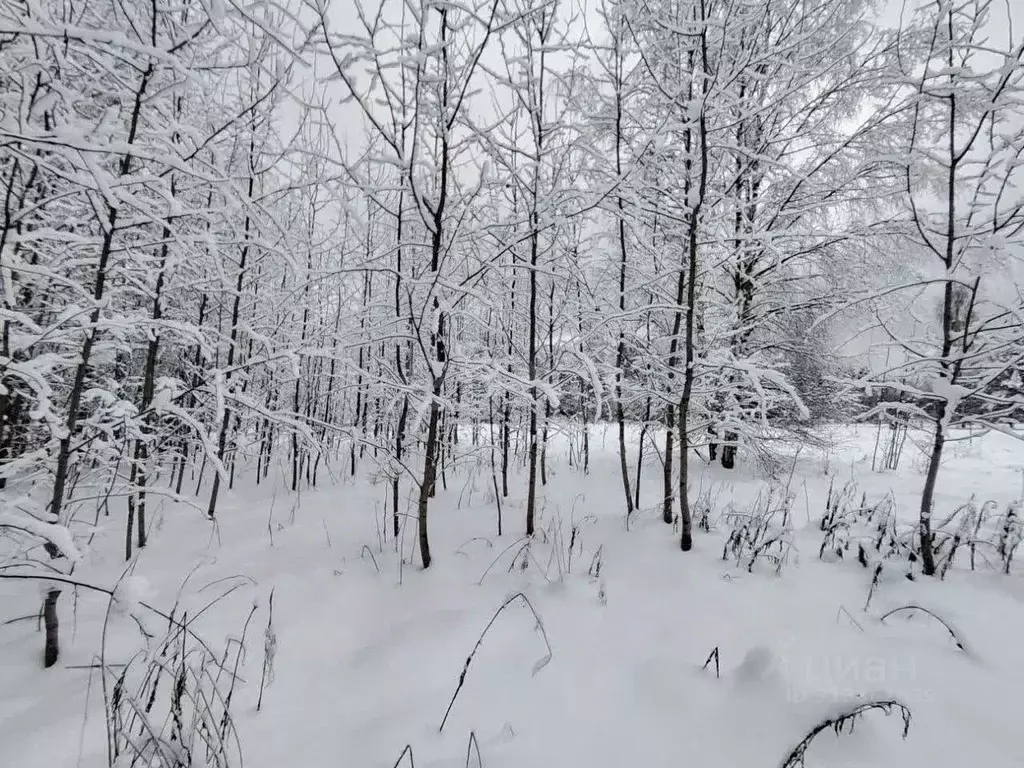 Дом в Ленинградская область, Кировский район, Мгинское городское ... - Фото 0