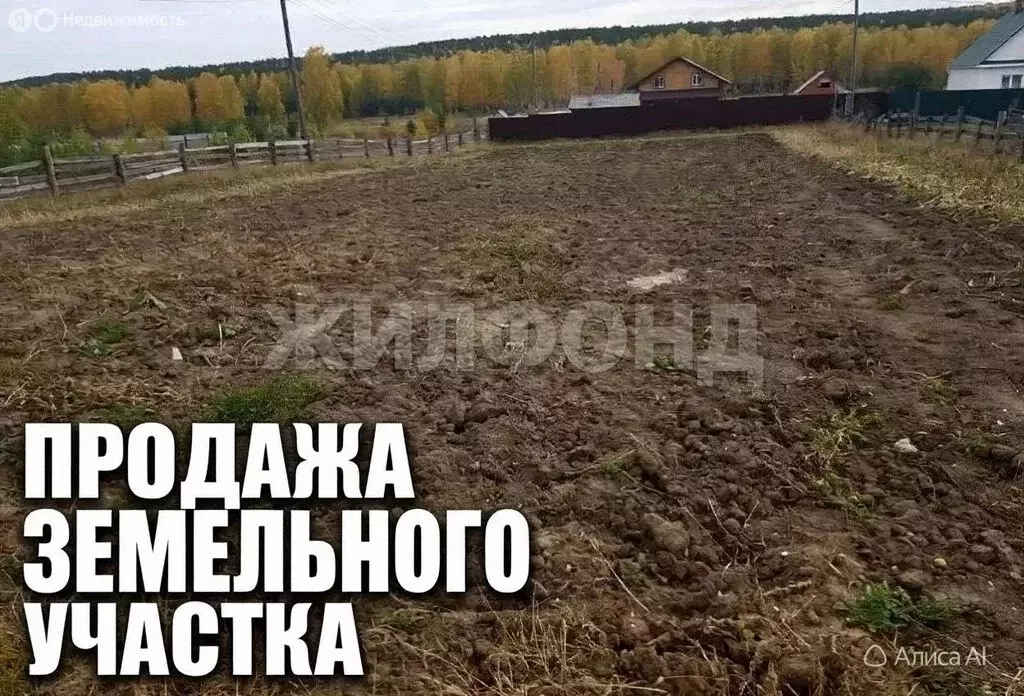 Участок в Красноярский край, Большемуртинско-Сухобузимский ... - Фото 1