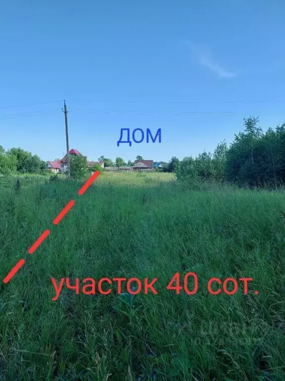 Дом в Алтайский край, Бийский район, с. Сростки ул. Зеленый Клин, 22 ... - Фото 2