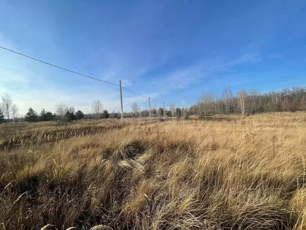 Участок в Воронежская область, Рамонский район, Айдаровское с/пос, ... - Фото 1