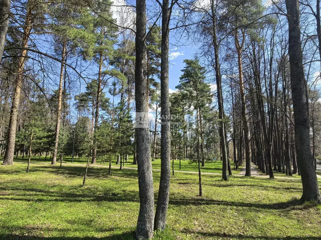 Продается участок в д. Спасское - Фото 1