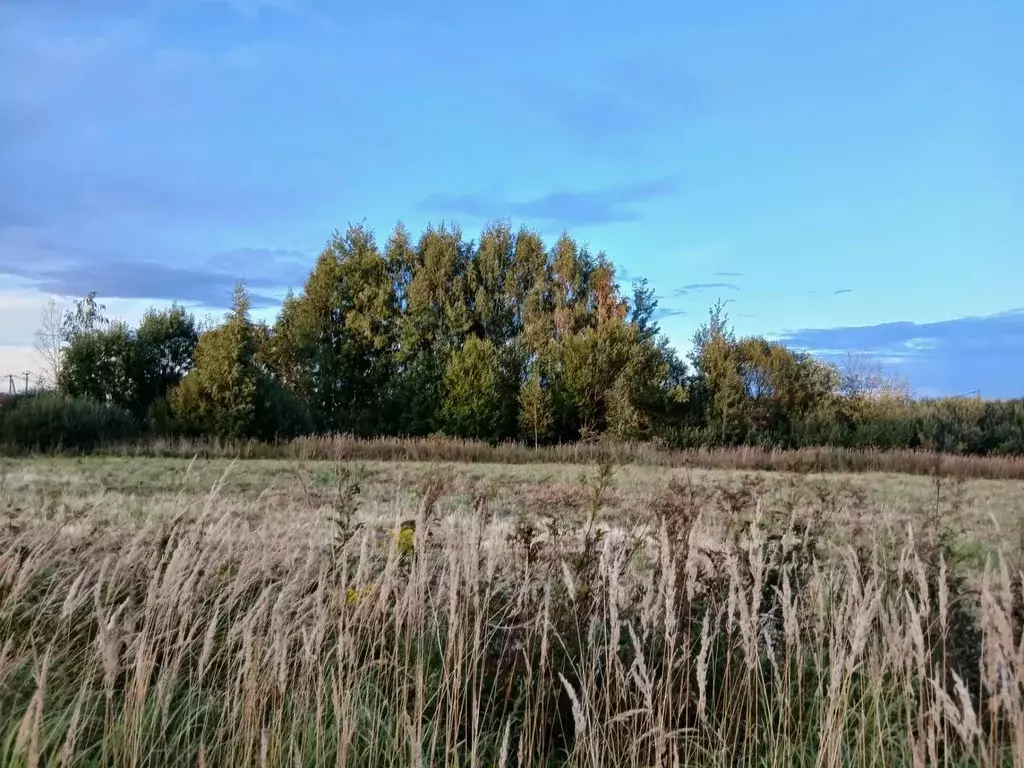 Участок в Московская область, Клин городской округ, Солнечный Берег-2 ... - Фото 2