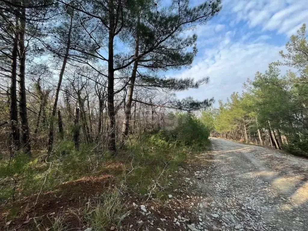 Участок в Краснодарский край, Геленджик  (35.0 сот.) - Фото 1