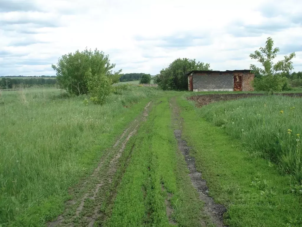 Участок в Кемеровская область, Кемеровский район, с. Елыкаево Звездная ... - Фото 0