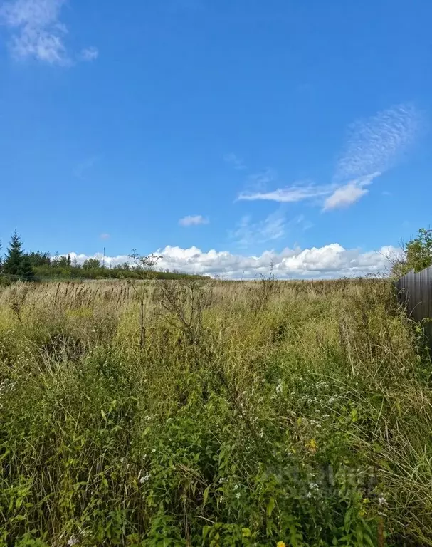 Участок в Московская область, Солнечногорск городской округ, Транс СНТ ... - Фото 1