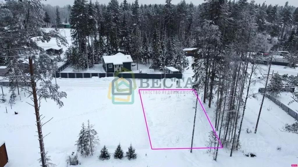Участок в Ленинградская область, Всеволожский район, Токсовское ... - Фото 2