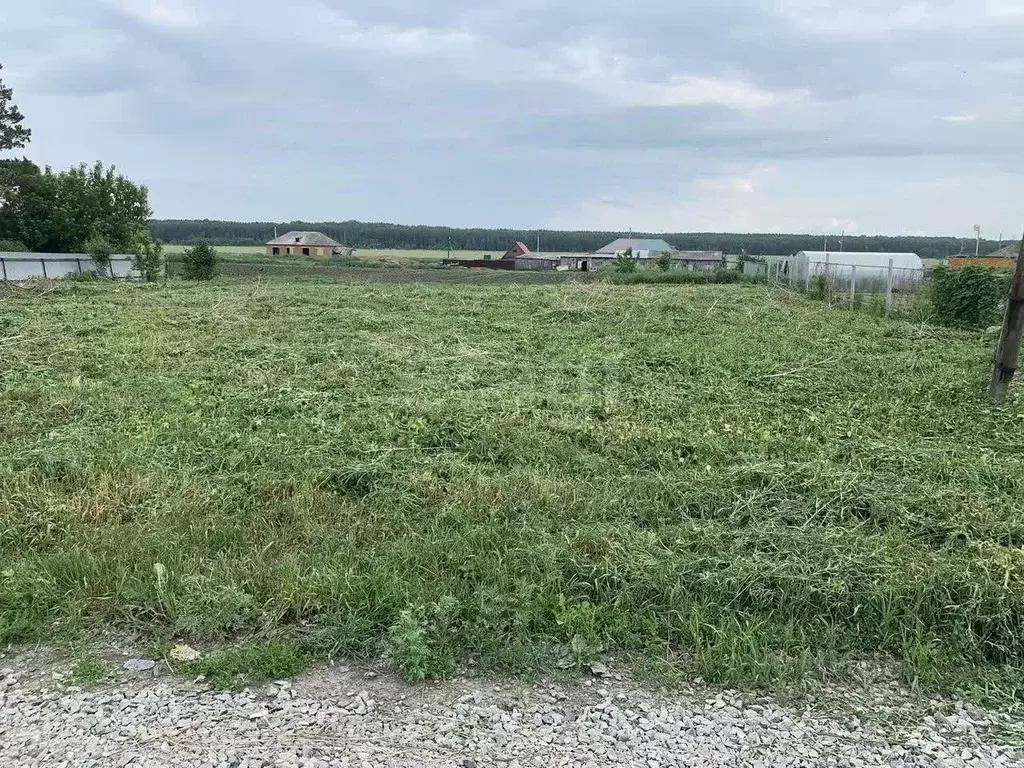 Участок в Новосибирская область, Новосибирский район, Ярковский ... - Фото 1