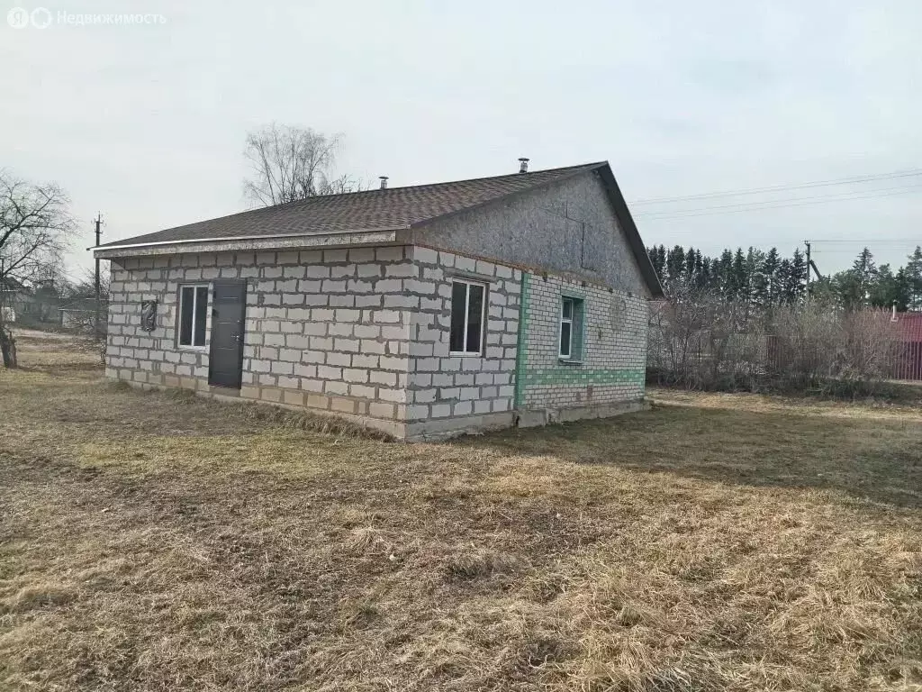 Дом в Псковская область, Новоржевский муниципальный округ, Выборская ... - Фото 2